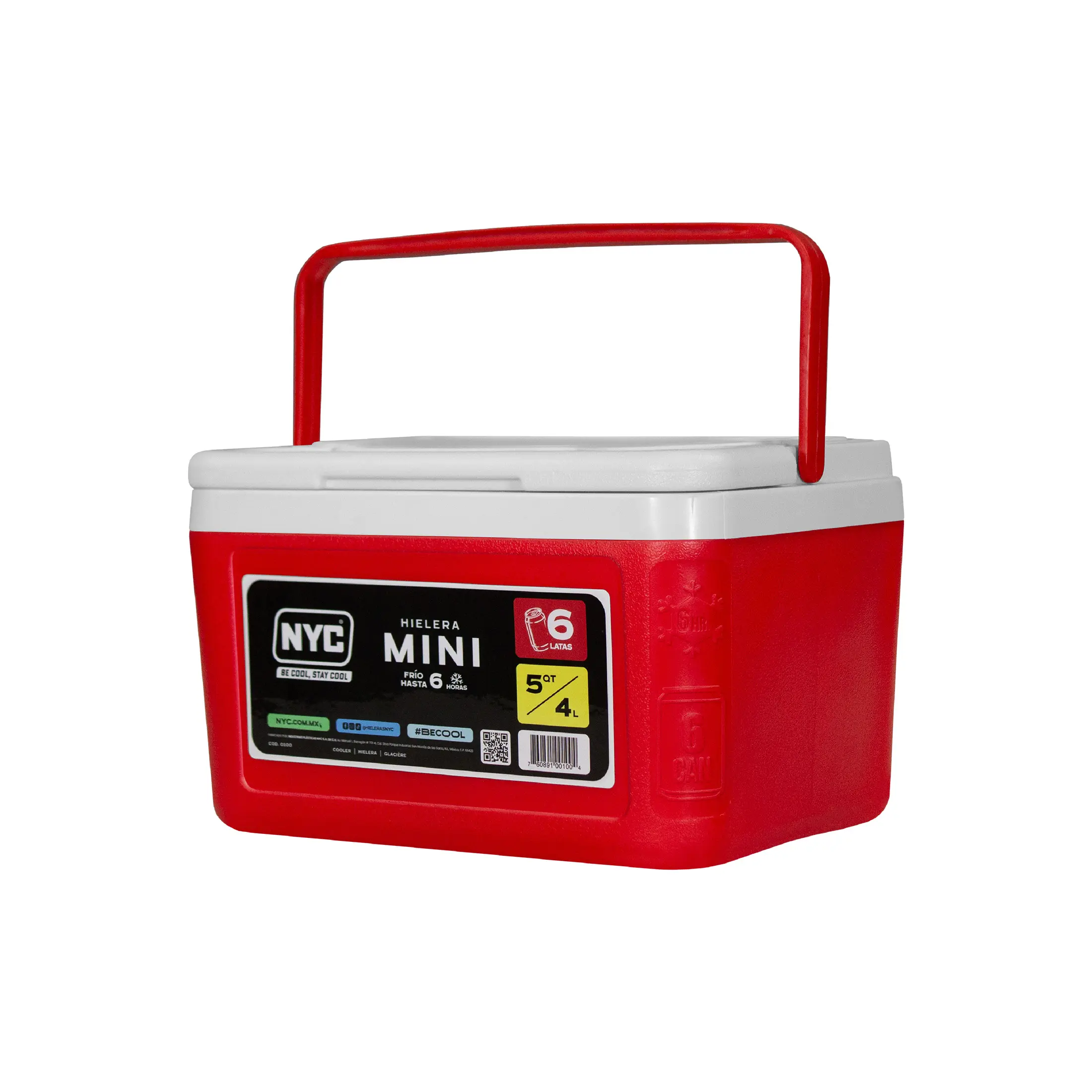 Hielera Mini