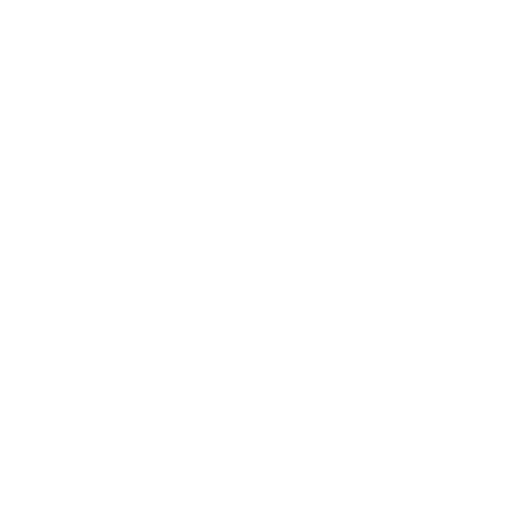 Made in Mexico